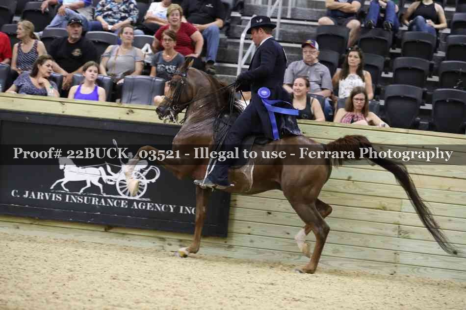 Proof 22BUCK_03521