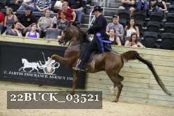 22BUCK_03521 proof