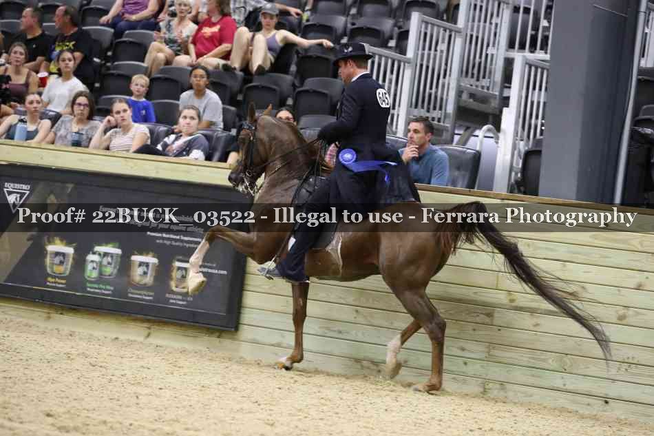 Proof 22BUCK_03522