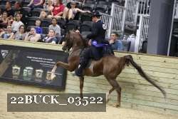 22BUCK_03522 proof