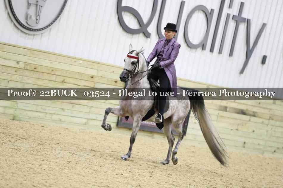 Proof 22BUCK_03524