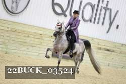 22BUCK_03524 proof