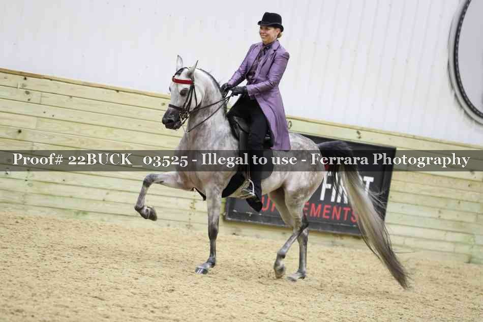 Proof 22BUCK_03525