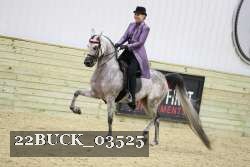 22BUCK_03525 proof