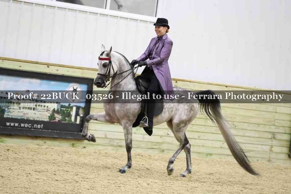 Proof 22BUCK_03526