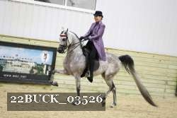 22BUCK_03526 proof