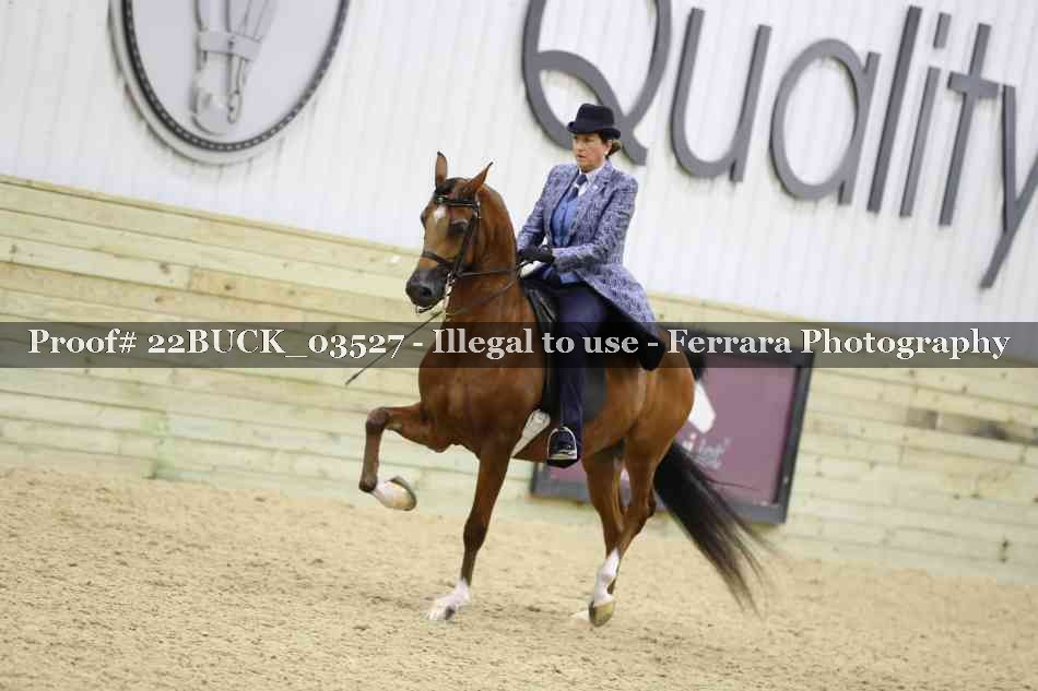 Proof 22BUCK_03527