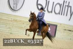 22BUCK_03527 proof