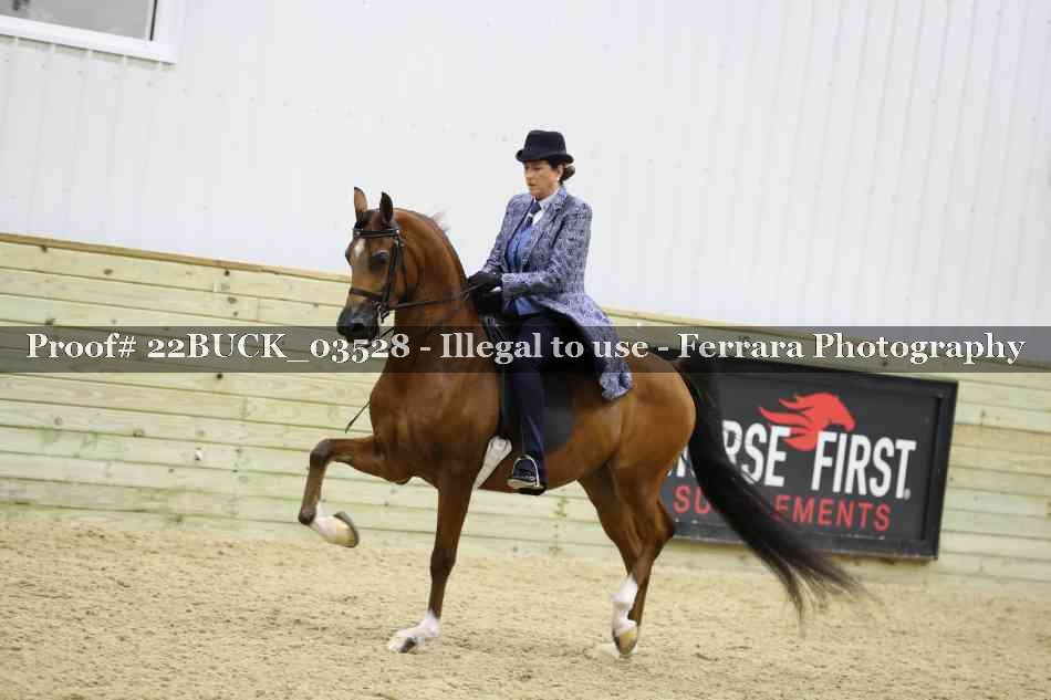 Proof 22BUCK_03528