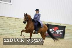 22BUCK_03528 proof