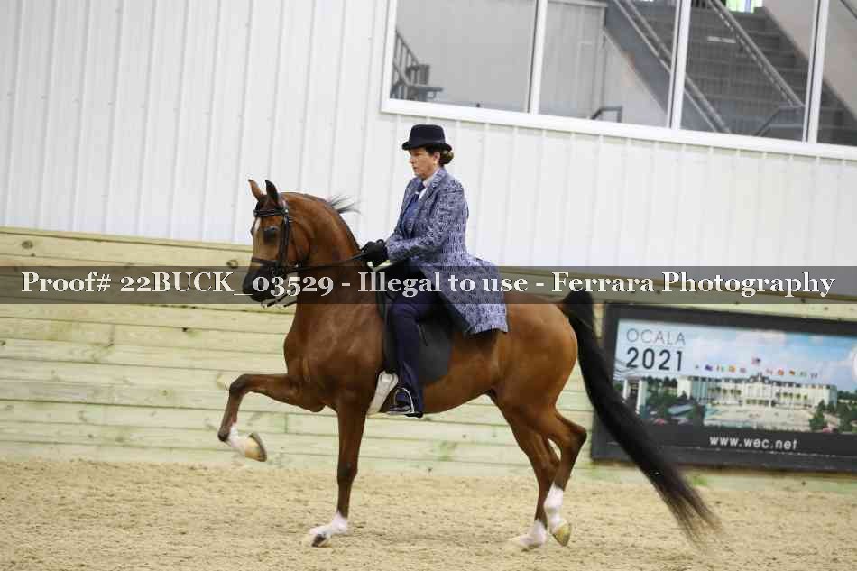 Proof 22BUCK_03529