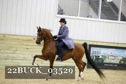 22BUCK_03529 proof