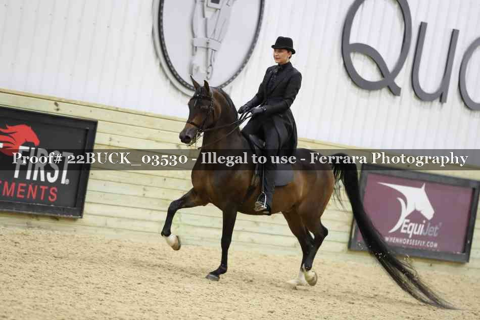 Proof 22BUCK_03530