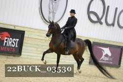 22BUCK_03530 proof