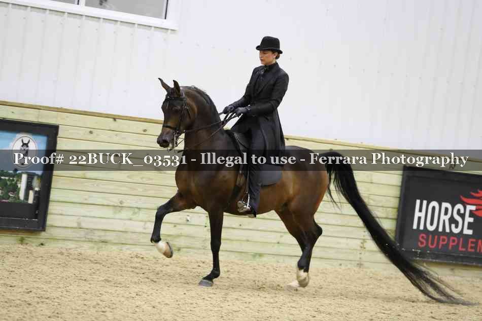 Proof 22BUCK_03531