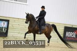 22BUCK_03531 proof