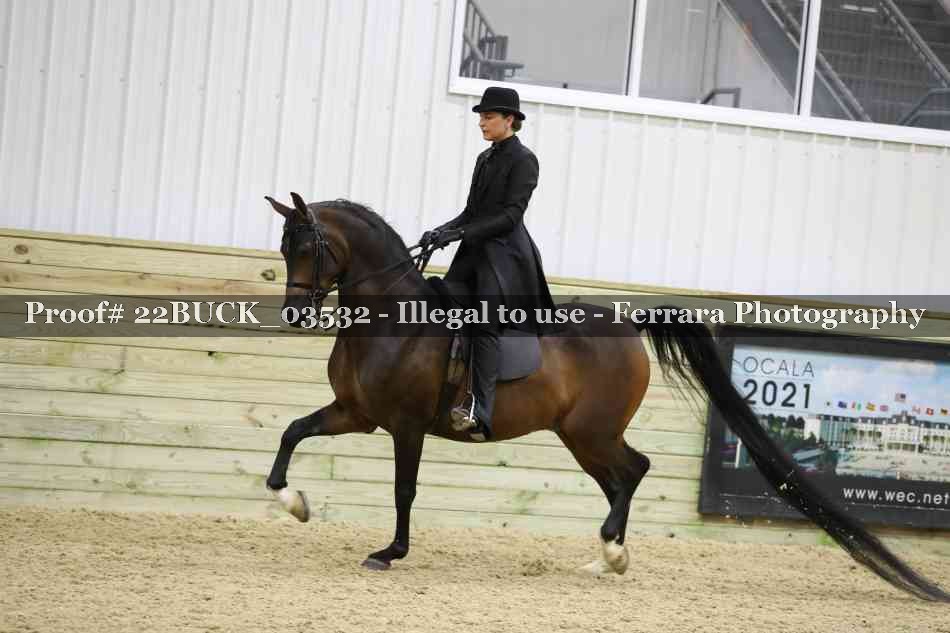 Proof 22BUCK_03532