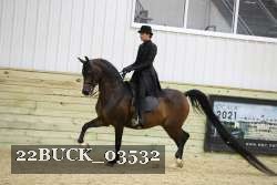 22BUCK_03532 proof
