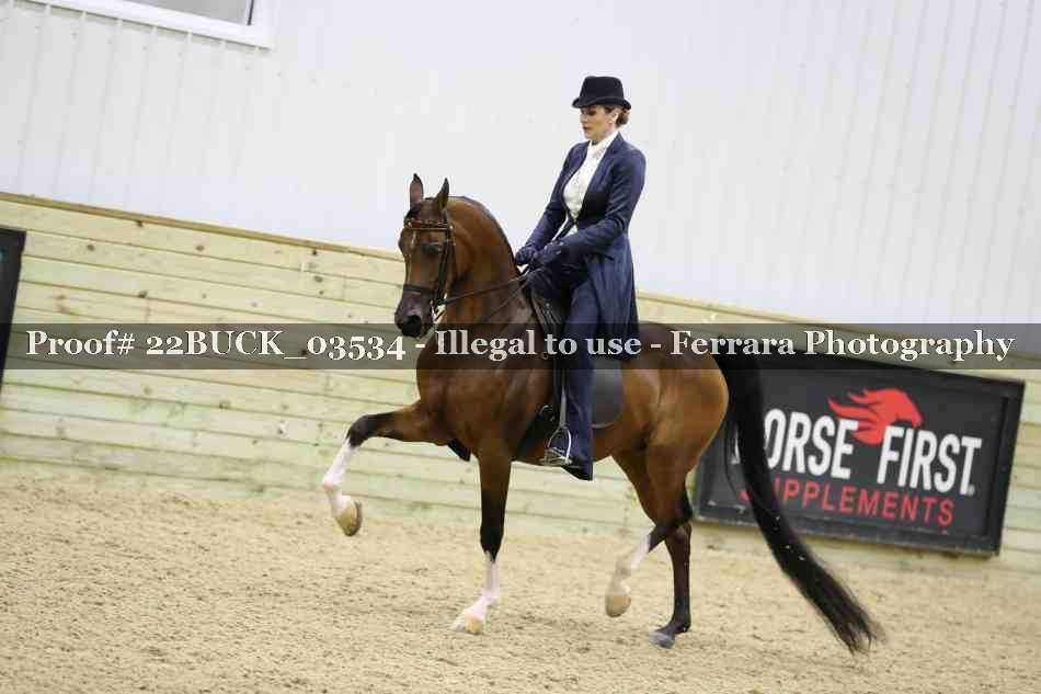 Proof 22BUCK_03534