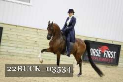 22BUCK_03534 proof