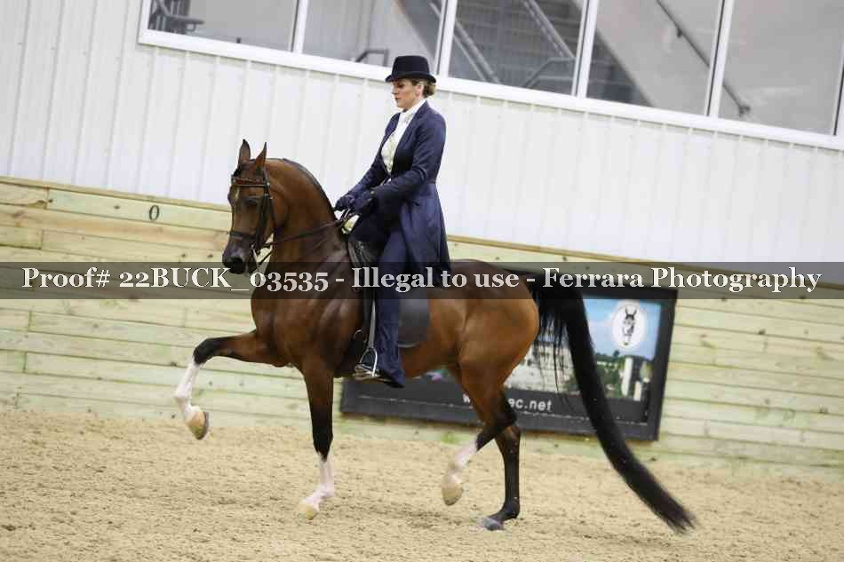 Proof 22BUCK_03535