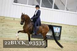 22BUCK_03535 proof
