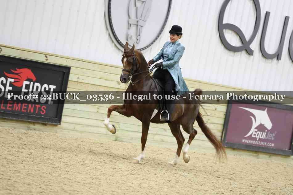 Proof 22BUCK_03536