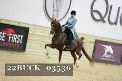 22BUCK_03536 proof