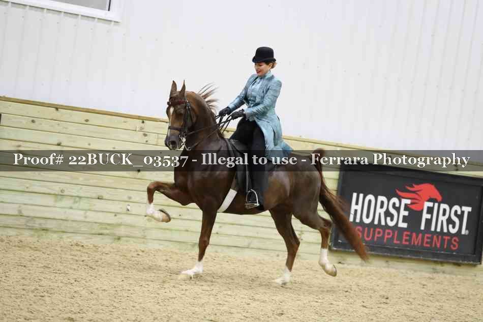 Proof 22BUCK_03537
