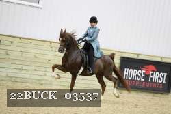 22BUCK_03537 proof