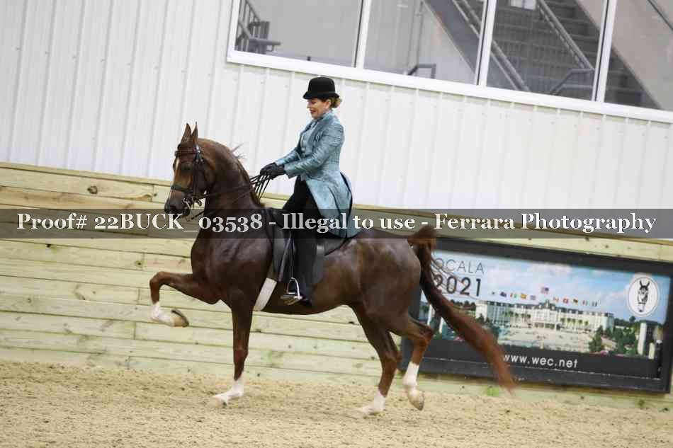 Proof 22BUCK_03538