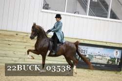 22BUCK_03538 proof