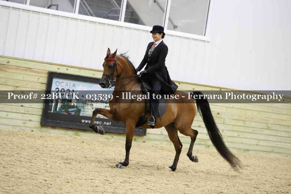 Proof 22BUCK_03539
