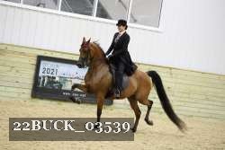 22BUCK_03539 proof