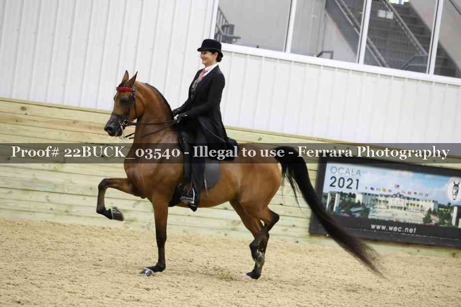 Proof 22BUCK_03540