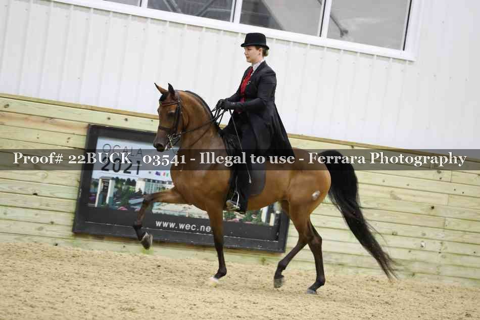Proof 22BUCK_03541