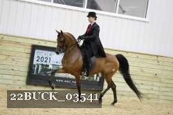 22BUCK_03541 proof