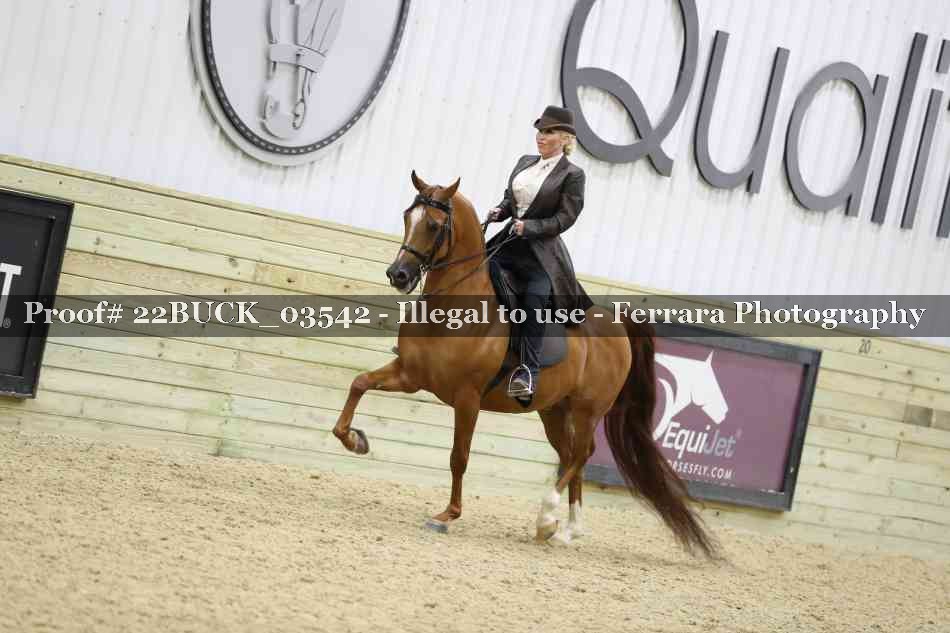 Proof 22BUCK_03542