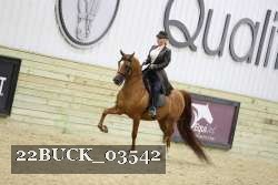 22BUCK_03542 proof