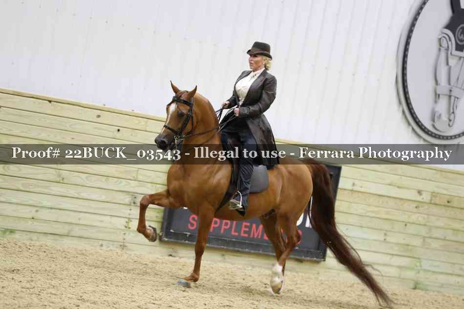 Proof 22BUCK_03543