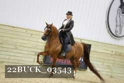 22BUCK_03543 proof