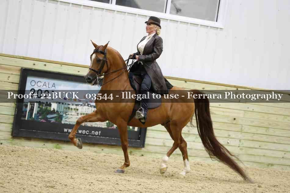 Proof 22BUCK_03544