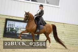 22BUCK_03544 proof