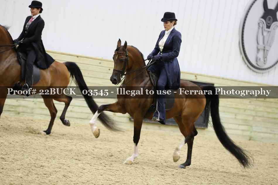 Proof 22BUCK_03545
