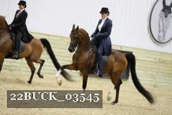 22BUCK_03545 proof