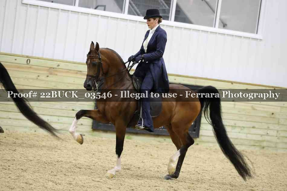 Proof 22BUCK_03546