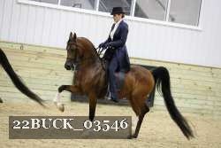 22BUCK_03546 proof
