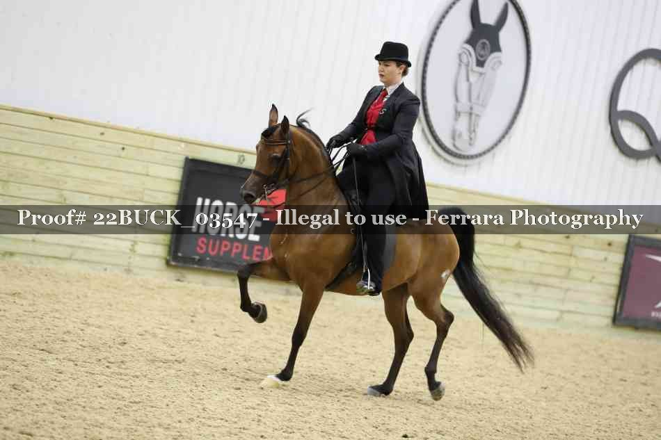 Proof 22BUCK_03547