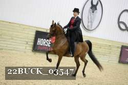 22BUCK_03547 proof