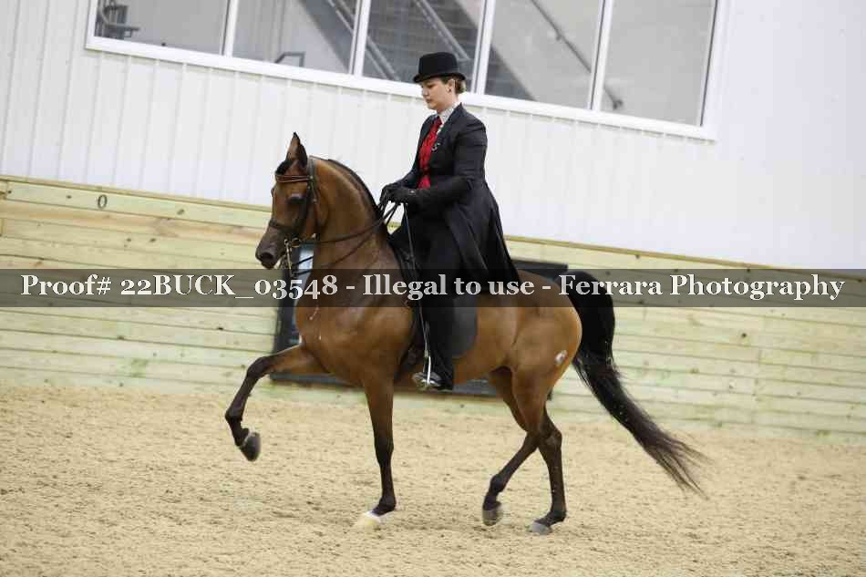 Proof 22BUCK_03548